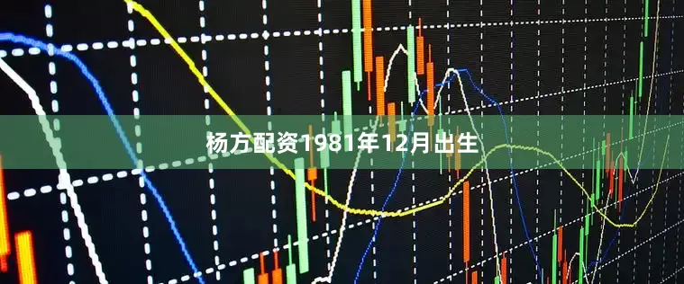 杨方配资1981年12月出生