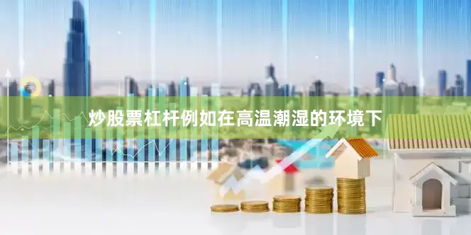 炒股票杠杆例如在高温潮湿的环境下