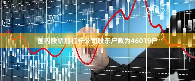 国内股票加杠杆公司股东户数为46019户