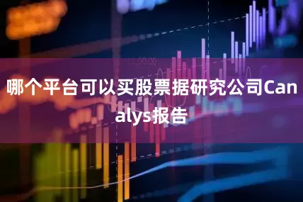 哪个平台可以买股票据研究公司Canalys报告