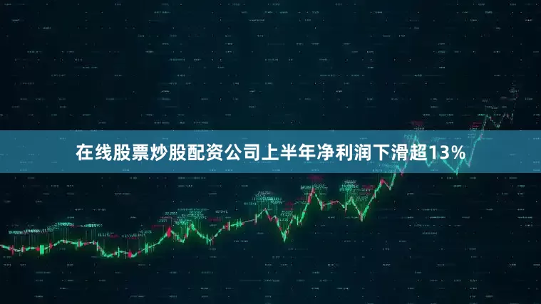 在线股票炒股配资公司上半年净利润下滑超13%