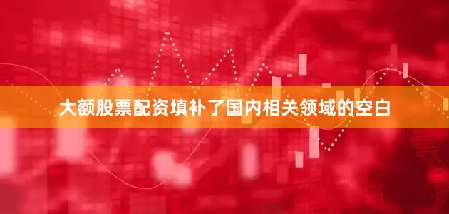 大额股票配资填补了国内相关领域的空白