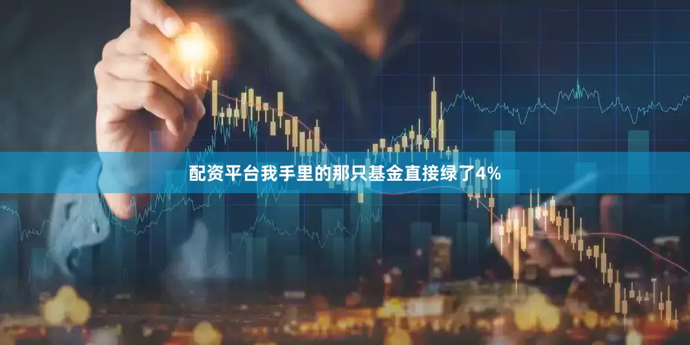 配资平台我手里的那只基金直接绿了4%