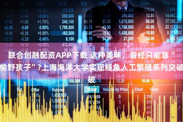 联合创融配资APP下载 这种美味，曾经只能靠“偷野孩子”?上海海洋大学实现鳗鱼人工繁殖系列突破