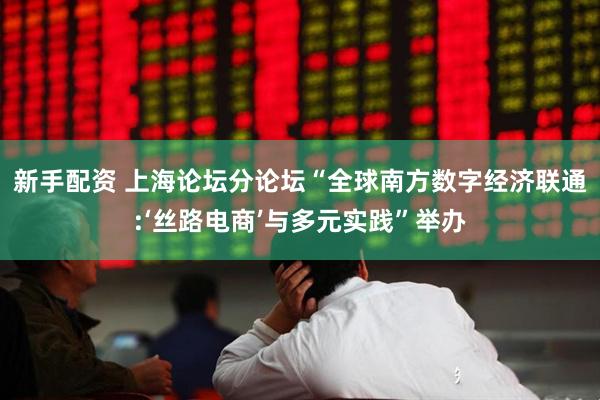 新手配资 上海论坛分论坛“全球南方数字经济联通:‘丝路电商’与多元实践”举办